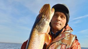 нАш щучий день .