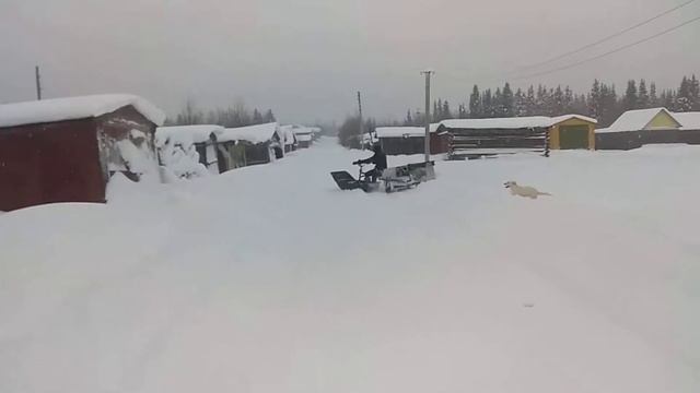 Тест мототалкача!