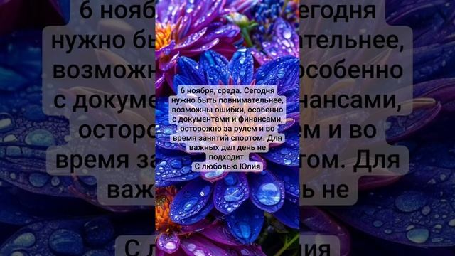 VID_20241106_142925_880.mp4