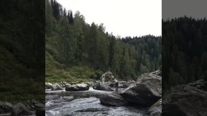 ТАЙГА TRAVEL - водная прогулка по реке Бельсу