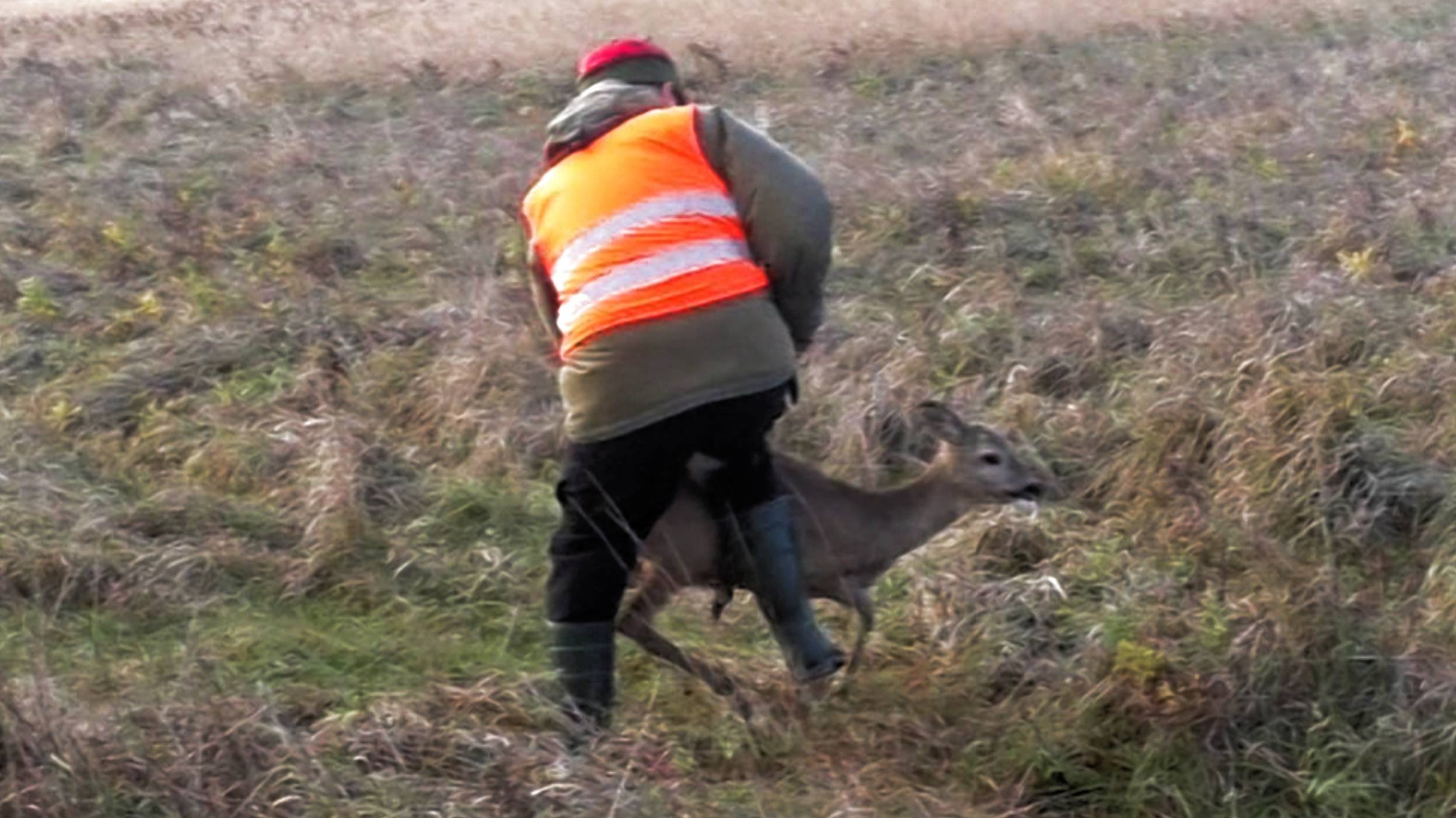 Загонная ОХОТА. 2 ШАНСА. 4 ноября 2024г.