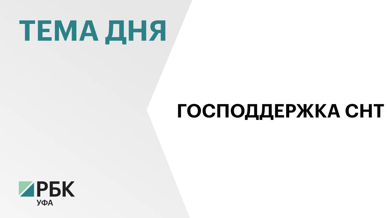 В Башкортостане выделят ₽15 млн для государственной поддержки садовых товариществ