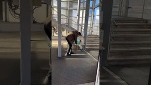 ПЫТАЕМСЯ ПРИСТРОИТЬ КОТЯТ В ПЕРЕХОДЕ . Помочь : +79192547760 Альфа, Сбер на Наталью Е