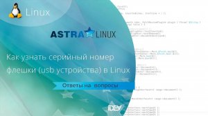 Как узнать серийный номер флешки (usb накопителя)  в Linux