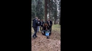 Fabulous photos and videos with a real bear.