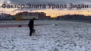 ЭЛИТА УРАЛА ЗИДАН ПРК 03.11.24 Невская Застава