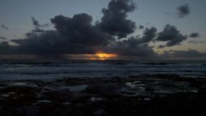 5487546-hd_1920_1080_24fps