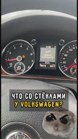 Конвульсии у VW #автоизевропы #автоподборспб #автоподбормосква