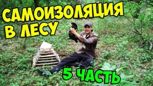 Выживание в лесу [5-Часть] Поимал дикую курицу. Машина в лесу.