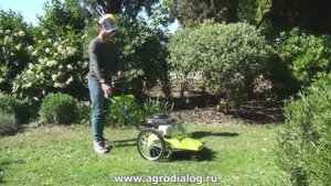 Колесный триммер Grillo HWT 600 WD