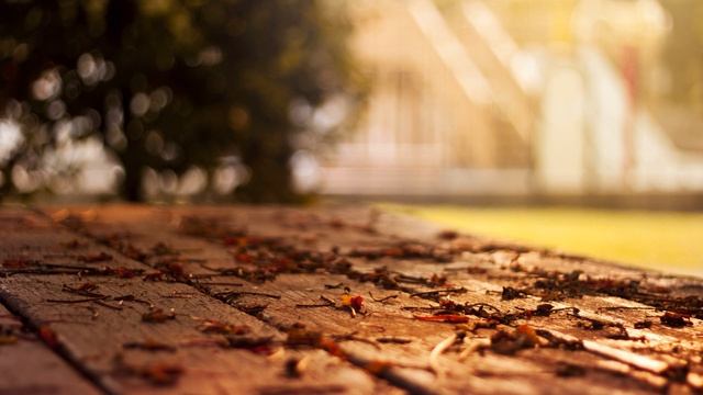 "Лист-посланник" смотреть онлайн