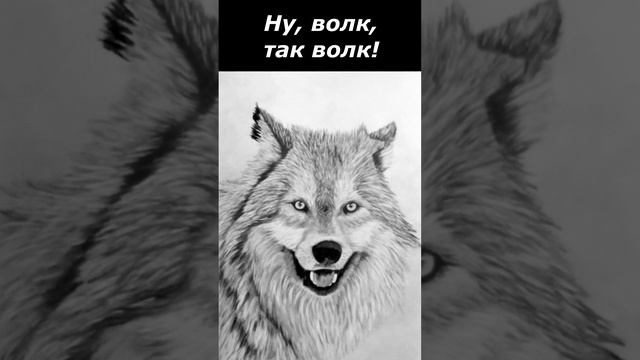 Рисую портреты на заказ. Волк.