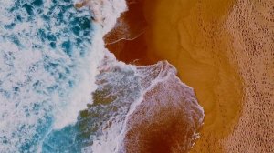 5534124-uhd_2560_1440_24fps