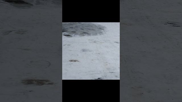 Снег в ноябре.