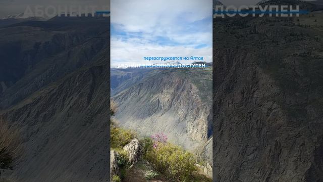 Алтай, Тур перезагрузка