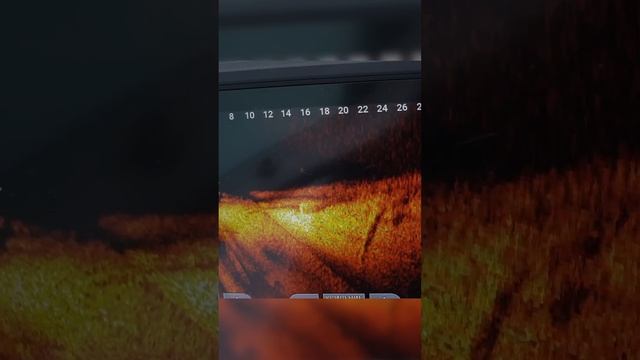 Диптвичинг. Наглядно. Смотрим на приманку через паноптикс #norstream #рыбалка #fishing