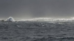 1879456-hd_1280_720_30fps