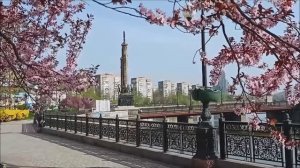 Донецк. Весна-2024