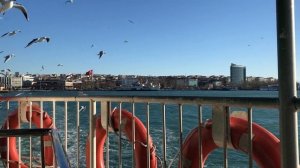 1138902-hd_1920_1080_30fps