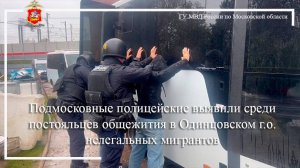 Подмосковные полицейские выявили среди постояльцев общежития в Одинцове нелегальных мигрантов