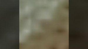 #Учебный_представляет цветы