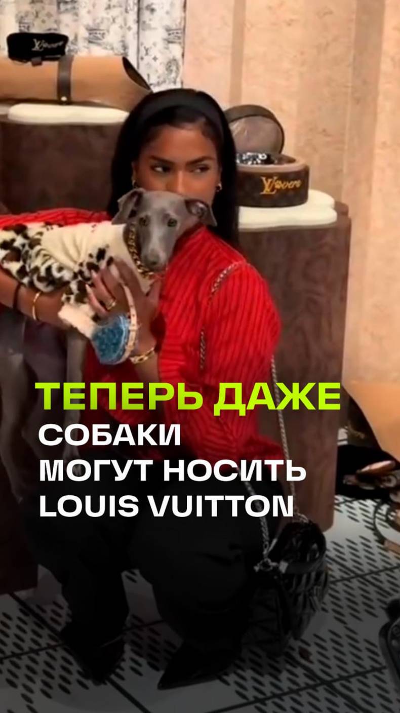 Люкс теперь и для хвостатых: Louis Vuitton открыл свой первый зоомагазин в Нью-Йорке