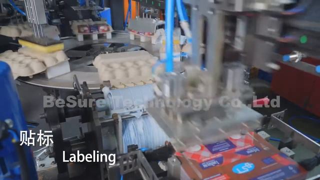 Автоматическая этикетировочная машина для яичной упаковки (BST)