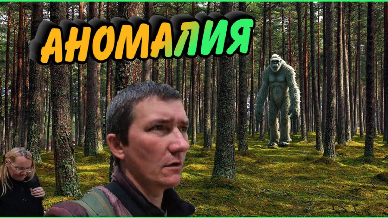 Какое-то место, какого-то происшествия. #сезонконтентаRUTUBE