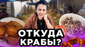 ОТКУДА Крабы? С рисового поля! From Where to Crabs? From Rice Field