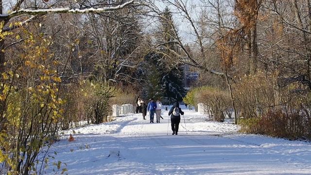 Пушкин. Царское. Село Александровский и Екатерининский парк. (камера, монтаж Владимир Шкваря) смотреть онлайн