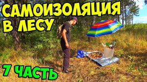 Выживание в лесу [7-Часть] Поломали ловушку. Забрал еду у отдыхающих...........#природа #выживание