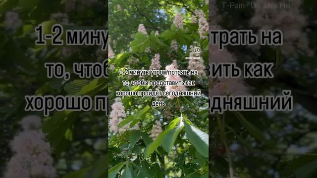 #мотивациядня #вдохновляю #шаги к #цели