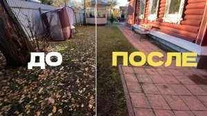 Как уборка листвы преобразила участок