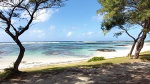 4506468-hd_1920_1080_30fps