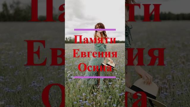 ЕВГЕНИЙ ОСИН - Не жалей #shorts