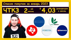 Инвестиции в акции иностранных компаний / ЧТКЗ - Январь 2023 #2