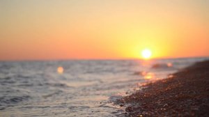 3099522-hd_1920_1080_25fps