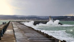 5318123-hd_1280_720_25fps