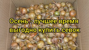 Запасаюсь севком с осени. Стоит всего 368р за 2 кг. Учла прошлые ошибки и купила среднюю фракцию.