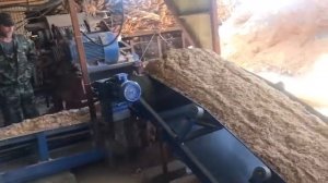 Подбункерный ленточный конвейер в эксплуатации