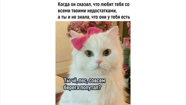 мемосы