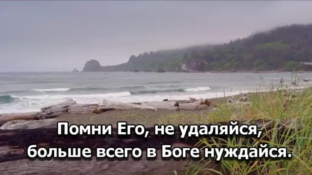 Оставь свои заботы 2 смотреть онлайн