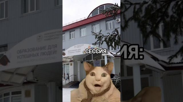 сессия: Бу! Испугался?