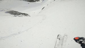 волчья пасть