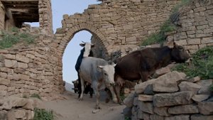 9950509-uhd_4096_2160_25fps