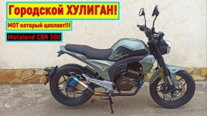 Городской ХУЛИГАН! Motoland CBR 300