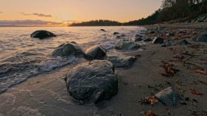 3803635-uhd_3840_2160_30fps