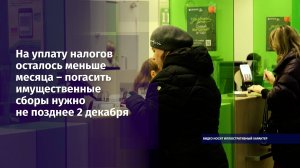 На уплату налогов осталось меньше месяца