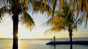 857048-hd_1920_1080_24fps