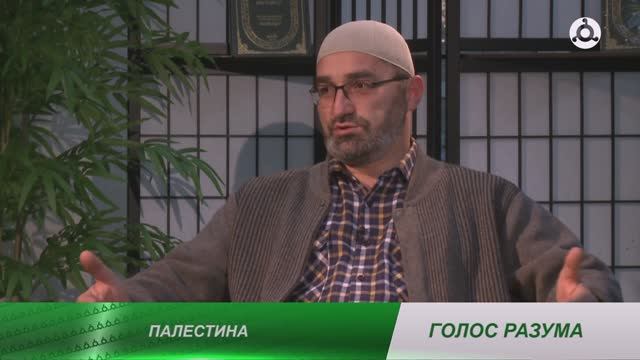 Голос разума: Палестина, милость Пророка Мухаммада (с.а.с.) и  толкование аята.